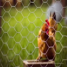 Home Garden Chicken Hexagonal Wire Malha de rede